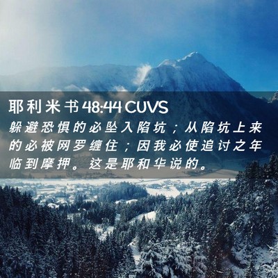 Picture 02 - 耶 利 米 书 48:44 CUVS - 躲 避 恐 惧 的 必 坠 入 陷 坑 ； 从 - Bible Verse Picture