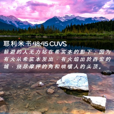 Picture 02 - 耶 利 米 书 48:45 CUVS - 躲 避 的 人 无 力 站 在 希 实 本 的 - Bible Verse Picture
