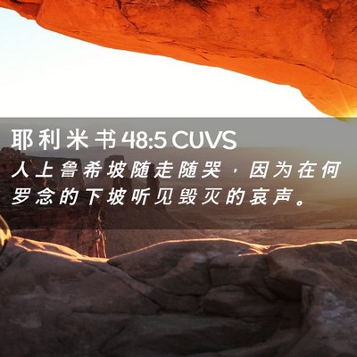 Picture 02 - 耶 利 米 书 48:5 CUVS - 人 上 鲁 希 坡 随 走 随 哭 ， 因 为 - Bible Verse Picture