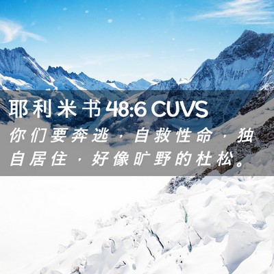 Picture 02 - 耶 利 米 书 48:6 CUVS - 你 们 要 奔 逃 ， 自 救 性 命 ， 独 - Bible Verse Picture