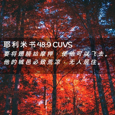 Picture 02 - 耶 利 米 书 48:9 CUVS - 要 将 翅 膀 给 摩 押 ， 使 他 可 以 - Bible Verse Picture