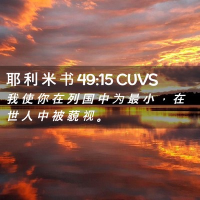 Picture 02 - 耶 利 米 书 49:15 CUVS - 我 使 你 在 列 国 中 为 最 小 ， 在 - Bible Verse Picture