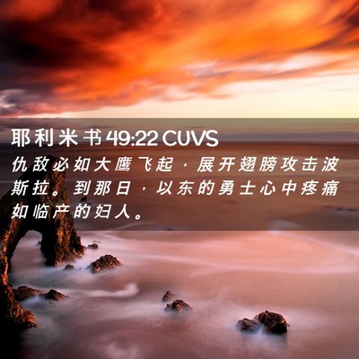 Picture 02 - 耶 利 米 书 49:22 CUVS - 仇 敌 必 如 大 鹰 飞 起 ， 展 开 翅 - Bible Verse Picture