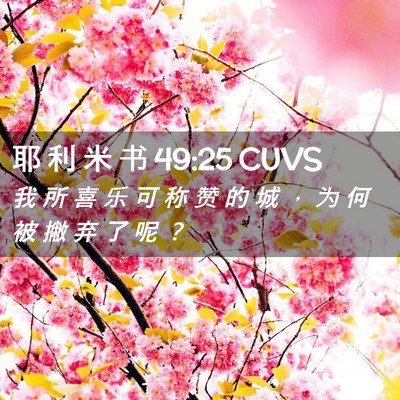Picture 02 - 耶 利 米 书 49:25 CUVS - 我 所 喜 乐 可 称 赞 的 城 ， 为 何 - Bible Verse Picture
