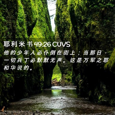 Picture 02 - 耶 利 米 书 49:26 CUVS - 他 的 少 年 人 必 仆 倒 在 街 上 ； - Bible Verse Picture