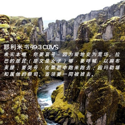 Picture 02 - 耶 利 米 书 49:3 CUVS - 希 实 本 哪 ， 你 要 哀 号 ， 因 为 - Bible Verse Picture