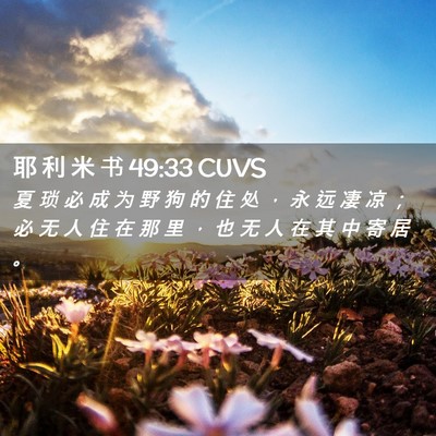 Picture 02 - 耶 利 米 书 49:33 CUVS - 夏 琐 必 成 为 野 狗 的 住 处 ， 永 - Bible Verse Picture