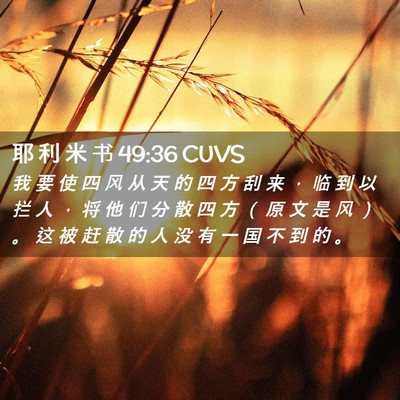 Picture 02 - 耶 利 米 书 49:36 CUVS - 我 要 使 四 风 从 天 的 四 方 刮 来 - Bible Verse Picture