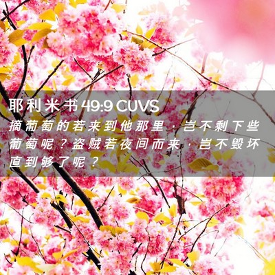 Picture 02 - 耶 利 米 书 49:9 CUVS - 摘 葡 萄 的 若 来 到 他 那 里 ， 岂 - Bible Verse Picture