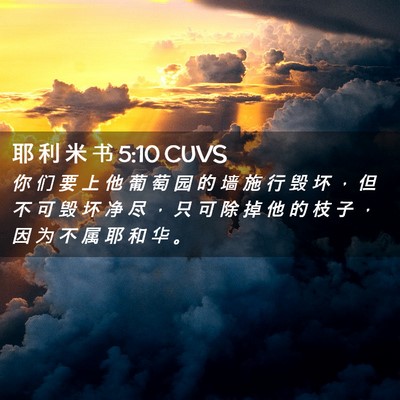 Picture 02 - 耶 利 米 书 5:10 CUVS - 你 们 要 上 他 葡 萄 园 的 墙 施 行 - Bible Verse Picture