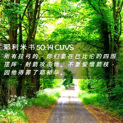 Picture 02 - 耶 利 米 书 50:14 CUVS - 所 有 拉 弓 的 ， 你 们 要 在 巴 比 - Bible Verse Picture