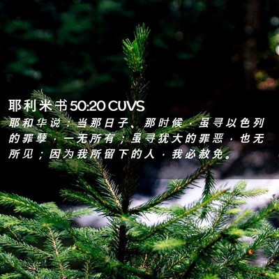 Picture 02 - 耶 利 米 书 50:20 CUVS - 耶 和 华 说 ： 当 那 日 子 、 那 时 - Bible Verse Picture