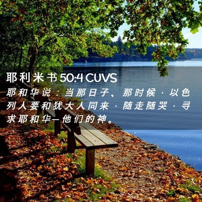 Picture 02 - 耶 利 米 书 50:4 CUVS - 耶 和 华 说 ： 当 那 日 子 、 那 时 - Bible Verse Picture