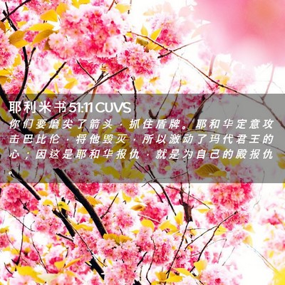 Picture 02 - 耶 利 米 书 51:11 CUVS - 你 们 要 磨 尖 了 箭 头 ， 抓 住 盾 - Bible Verse Picture