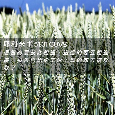 Picture 02 - 耶 利 米 书 51:31 CUVS - 通 报 的 要 彼 此 相 遇 ， 送 信 的 - Bible Verse Picture