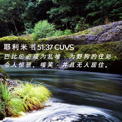 Picture 02 - 耶 利 米 书 51:37 CUVS - 巴 比 伦 必 成 为 乱 堆 ， 为 野 狗 - Bible Verse Picture