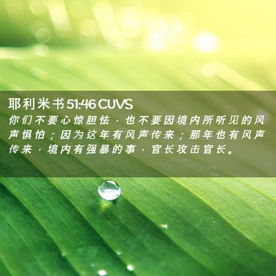 Picture 02 - 耶 利 米 书 51:46 CUVS - 你 们 不 要 心 惊 胆 怯 ， 也 不 要 - Bible Verse Picture