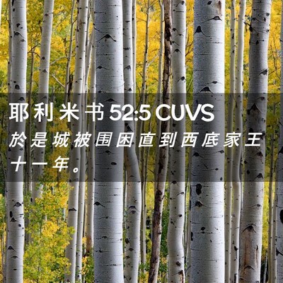 Picture 02 - 耶 利 米 书 52:5 CUVS - 於 是 城 被 围 困 直 到 西 底 家 王 - Bible Verse Picture