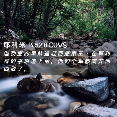 Picture 02 - 耶 利 米 书 52:8 CUVS - 迦 勒 底 的 军 队 追 赶 西 底 家 王 - Bible Verse Picture