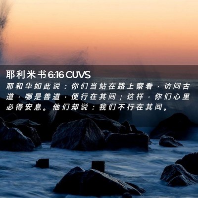 Picture 02 - 耶 利 米 书 6:16 CUVS - 耶 和 华 如 此 说 ： 你 们 当 站 在 - Bible Verse Picture