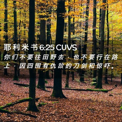 Picture 02 - 耶 利 米 书 6:25 CUVS - 你 们 不 要 往 田 野 去 ， 也 不 要 - Bible Verse Picture