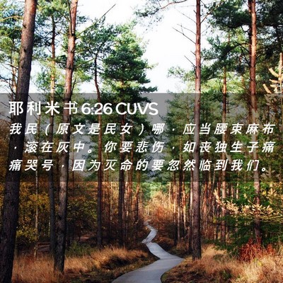 Picture 02 - 耶 利 米 书 6:26 CUVS - 我 民 （ 原 文 是 民 女 ） 哪 ， 应 - Bible Verse Picture