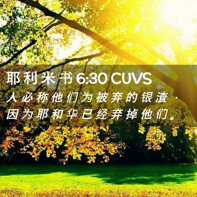 Picture 02 - 耶 利 米 书 6:30 CUVS - 人 必 称 他 们 为 被 弃 的 银 渣 ， - Bible Verse Picture