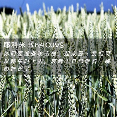 Picture 02 - 耶 利 米 书 6:4 CUVS - 你 们 要 准 备 攻 击 他 。 起 来 罢 - Bible Verse Picture