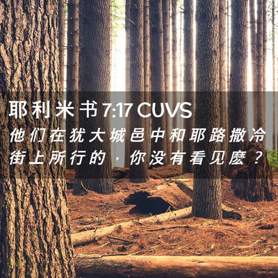 Picture 02 - 耶 利 米 书 7:17 CUVS - 他 们 在 犹 大 城 邑 中 和 耶 路 撒 - Bible Verse Picture