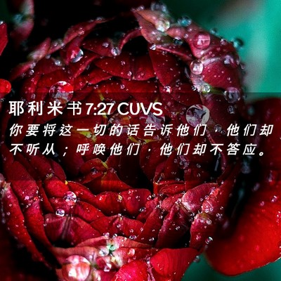 Picture 02 - 耶 利 米 书 7:27 CUVS - 你 要 将 这 一 切 的 话 告 诉 他 们 - Bible Verse Picture