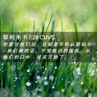 Picture 02 - 耶 利 米 书 7:28 CUVS - 你 要 对 他 们 说 ： 这 就 是 不 听 - Bible Verse Picture
