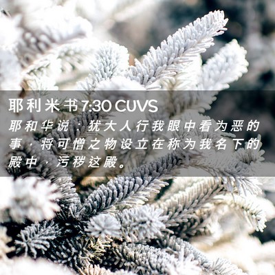 Picture 02 - 耶 利 米 书 7:30 CUVS - 耶 和 华 说 ： 犹 大 人 行 我 眼 中 - Bible Verse Picture