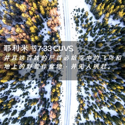 Picture 02 - 耶 利 米 书 7:33 CUVS - 并 且 这 百 姓 的 尸 首 必 给 空 中 - Bible Verse Picture