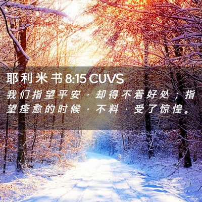 Picture 02 - 耶 利 米 书 8:15 CUVS - 我 们 指 望 平 安 ， 却 得 不 着 好 - Bible Verse Picture