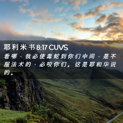 Picture 02 - 耶 利 米 书 8:17 CUVS - 看 哪 ， 我 必 使 毒 蛇 到 你 们 中 - Bible Verse Picture