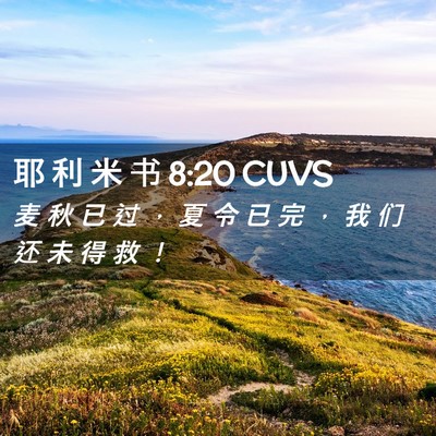Picture 02 - 耶 利 米 书 8:20 CUVS - 麦 秋 已 过 ， 夏 令 已 完 ， 我 们 - Bible Verse Picture