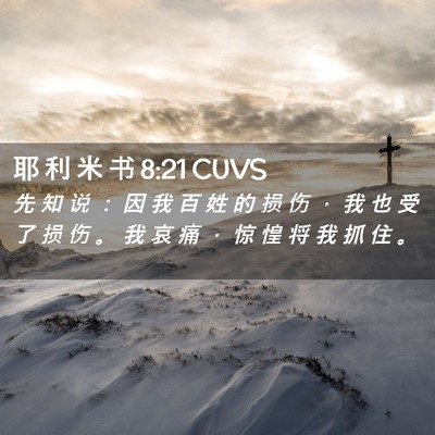 Picture 02 - 耶 利 米 书 8:21 CUVS - 先 知 说 ： 因 我 百 姓 的 损 伤 ， - Bible Verse Picture