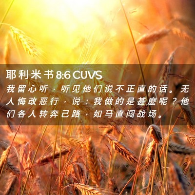 Picture 02 - 耶 利 米 书 8:6 CUVS - 我 留 心 听 ， 听 见 他 们 说 不 正 - Bible Verse Picture