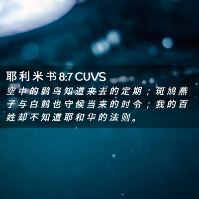 Picture 02 - 耶 利 米 书 8:7 CUVS - 空 中 的 鹳 鸟 知 道 来 去 的 定 期 - Bible Verse Picture