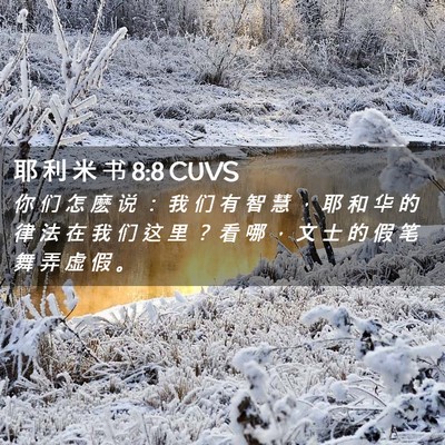 Picture 02 - 耶 利 米 书 8:8 CUVS - 你 们 怎 麽 说 ： 我 们 有 智 慧 ， - Bible Verse Picture