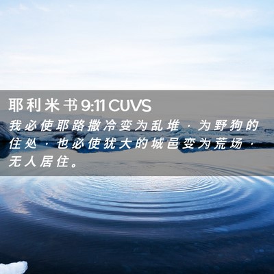 Picture 02 - 耶 利 米 书 9:11 CUVS - 我 必 使 耶 路 撒 冷 变 为 乱 堆 ， - Bible Verse Picture