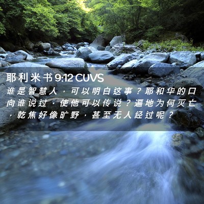 Picture 02 - 耶 利 米 书 9:12 CUVS - 谁 是 智 慧 人 ， 可 以 明 白 这 事 - Bible Verse Picture