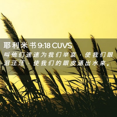 Picture 02 - 耶 利 米 书 9:18 CUVS - 叫 他 们 速 速 为 我 们 举 哀 ， 使 - Bible Verse Picture