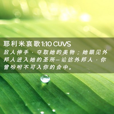 Picture 02 - 耶 利 米 哀 歌 1:10 CUVS - 敌 人 伸 手 ， 夺 取 她 的 美 物 ； - Bible Verse Picture