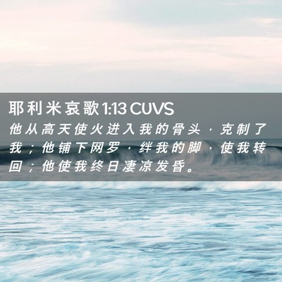 Picture 02 - 耶 利 米 哀 歌 1:13 CUVS - 他 从 高 天 使 火 进 入 我 的 骨 头 - Bible Verse Picture