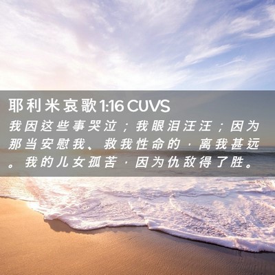 Picture 02 - 耶 利 米 哀 歌 1:16 CUVS - 我 因 这 些 事 哭 泣 ； 我 眼 泪 汪 - Bible Verse Picture