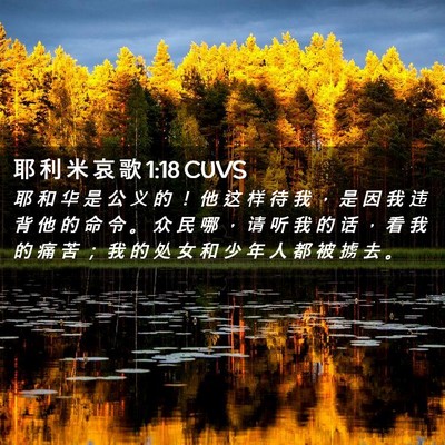 Picture 02 - 耶 利 米 哀 歌 1:18 CUVS - 耶 和 华 是 公 义 的 ！ 他 这 样 待 - Bible Verse Picture