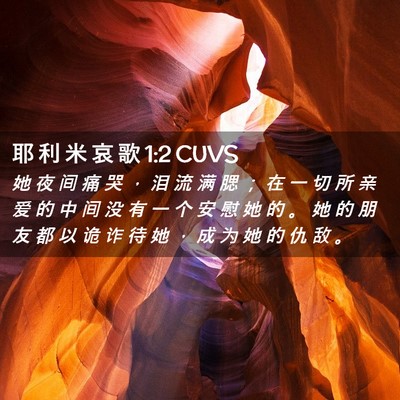 Picture 02 - 耶 利 米 哀 歌 1:2 CUVS - 她 夜 间 痛 哭 ， 泪 流 满 腮 ； 在 - Bible Verse Picture