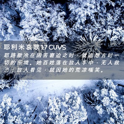 Picture 02 - 耶 利 米 哀 歌 1:7 CUVS - 耶 路 撒 冷 在 困 苦 窘 迫 之 时 ， - Bible Verse Picture
