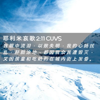 Picture 02 - 耶 利 米 哀 歌 2:11 CUVS - 我 眼 中 流 泪 ， 以 致 失 明 ， 我 - Bible Verse Picture